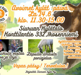 Mainoskuva