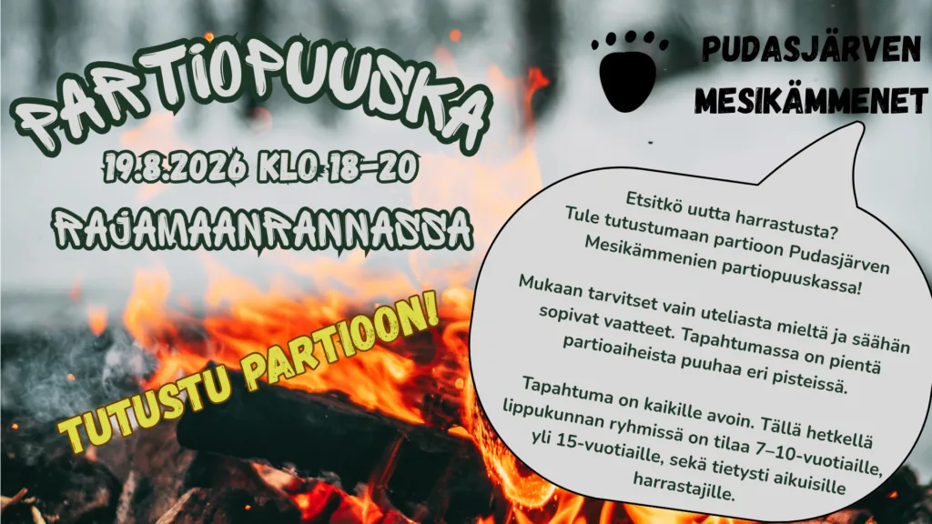 Mainoskuva