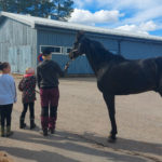 Lapsia ja ohjaaja hevosen kanssa