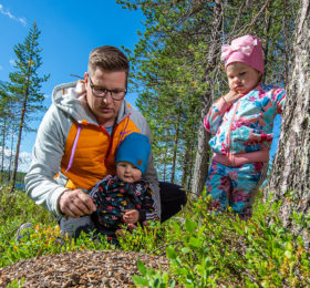 Isä ja lapset marjoja poimimassa