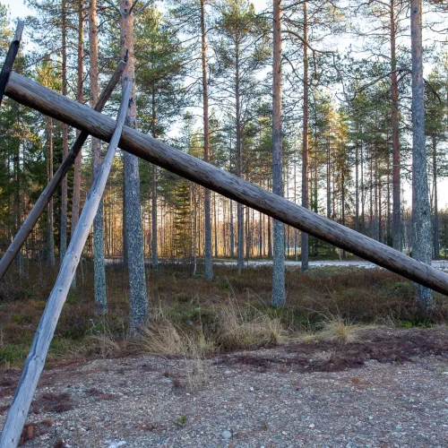 Iso parkkuupukki
