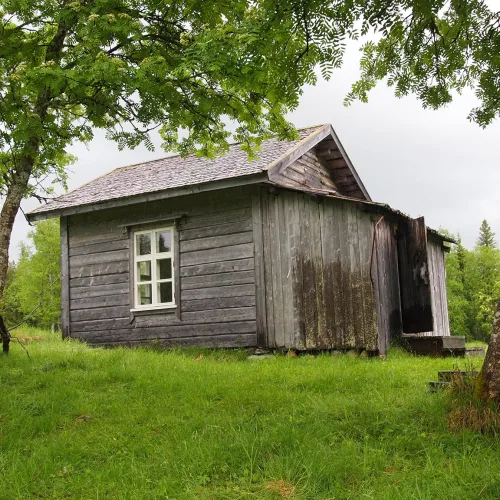 Kesäinen kruununmetsätorppa