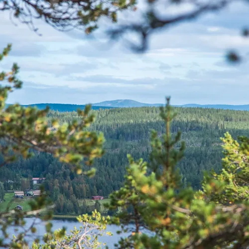 Näkymä Hampusvaaralta