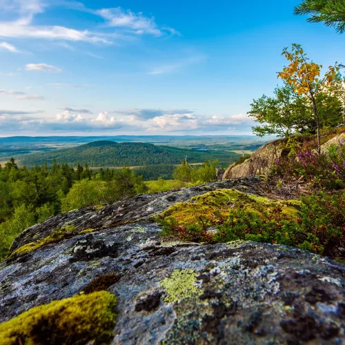 Näkymä Iso-Syötteen huipulta