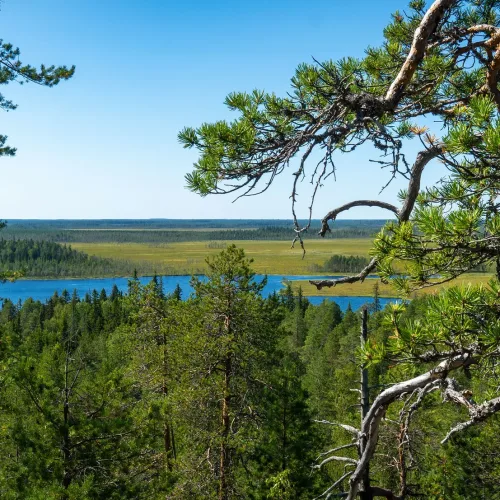 Näkymä Ohtavaaralta länteen