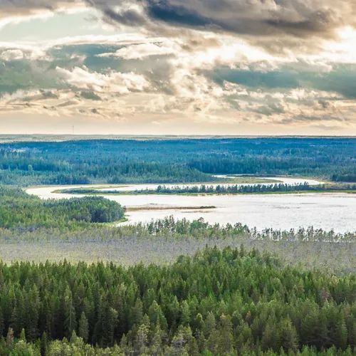 Näkymä Rumavaaralta Korentojärvelle