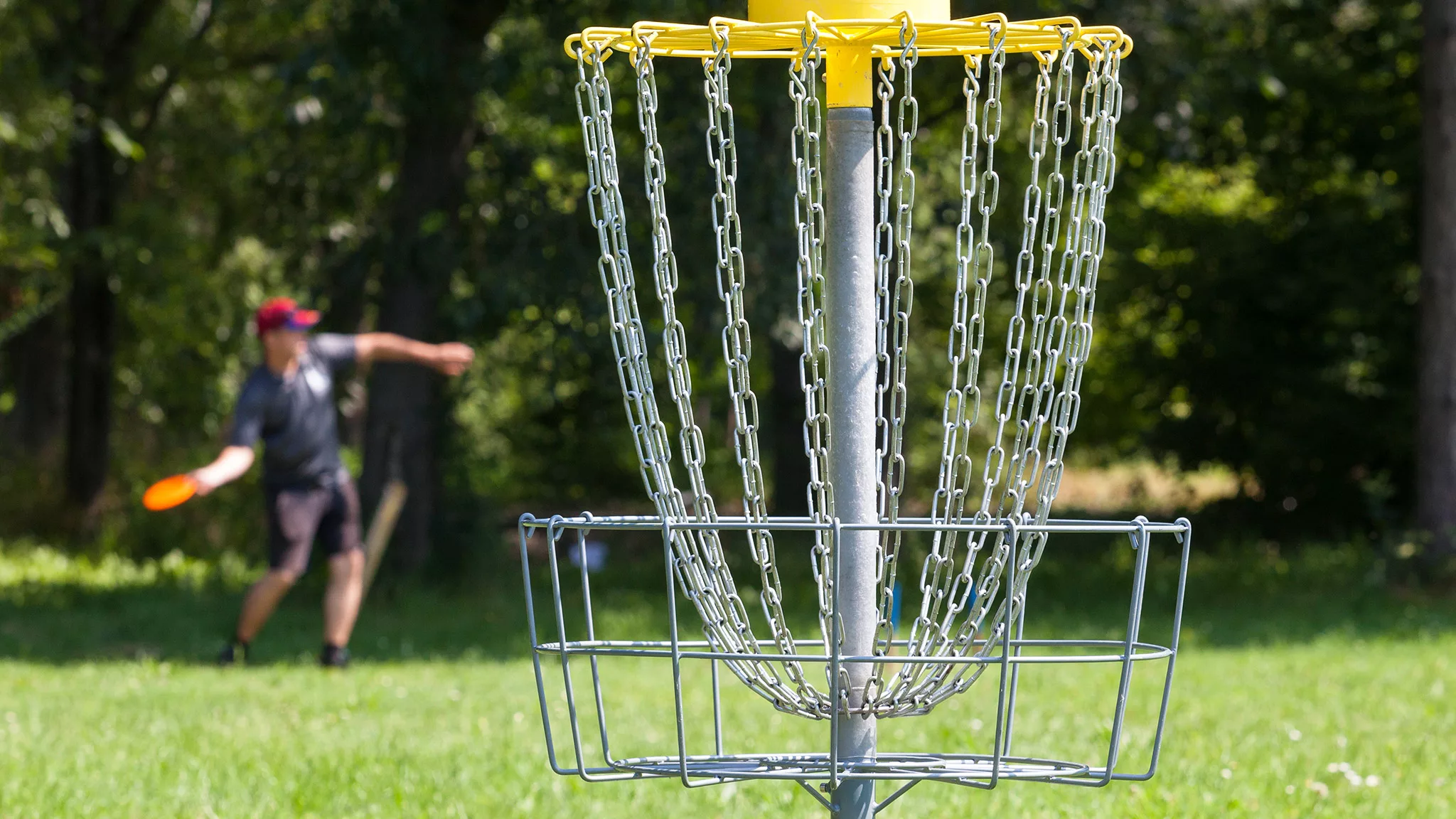 Frisbeekori, taustalla frisbeen heittäjä