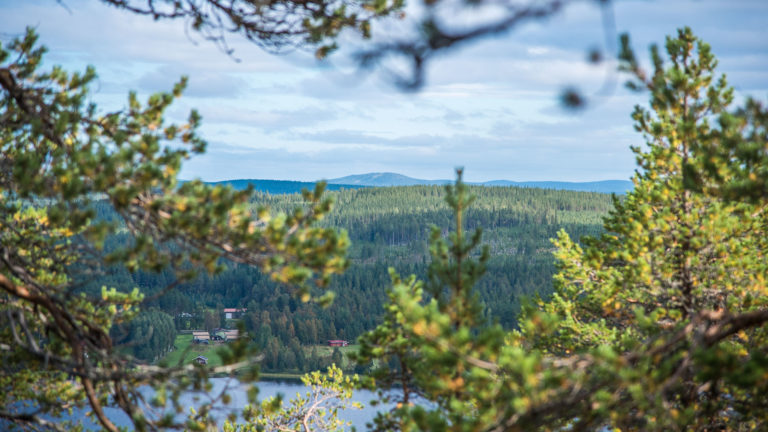 Maisema Hampusvaaralta