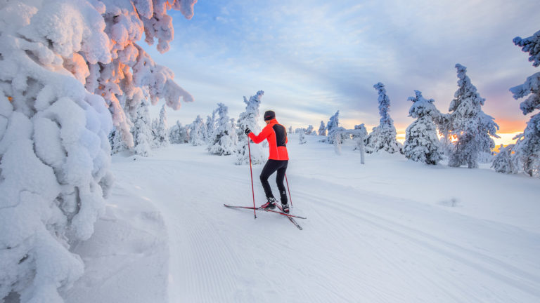 Hiihtäjä Syötteen maastossa