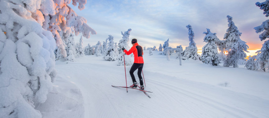 Hiihtäjä Syötteen maastossa