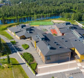 Hirsikampus ilmasta