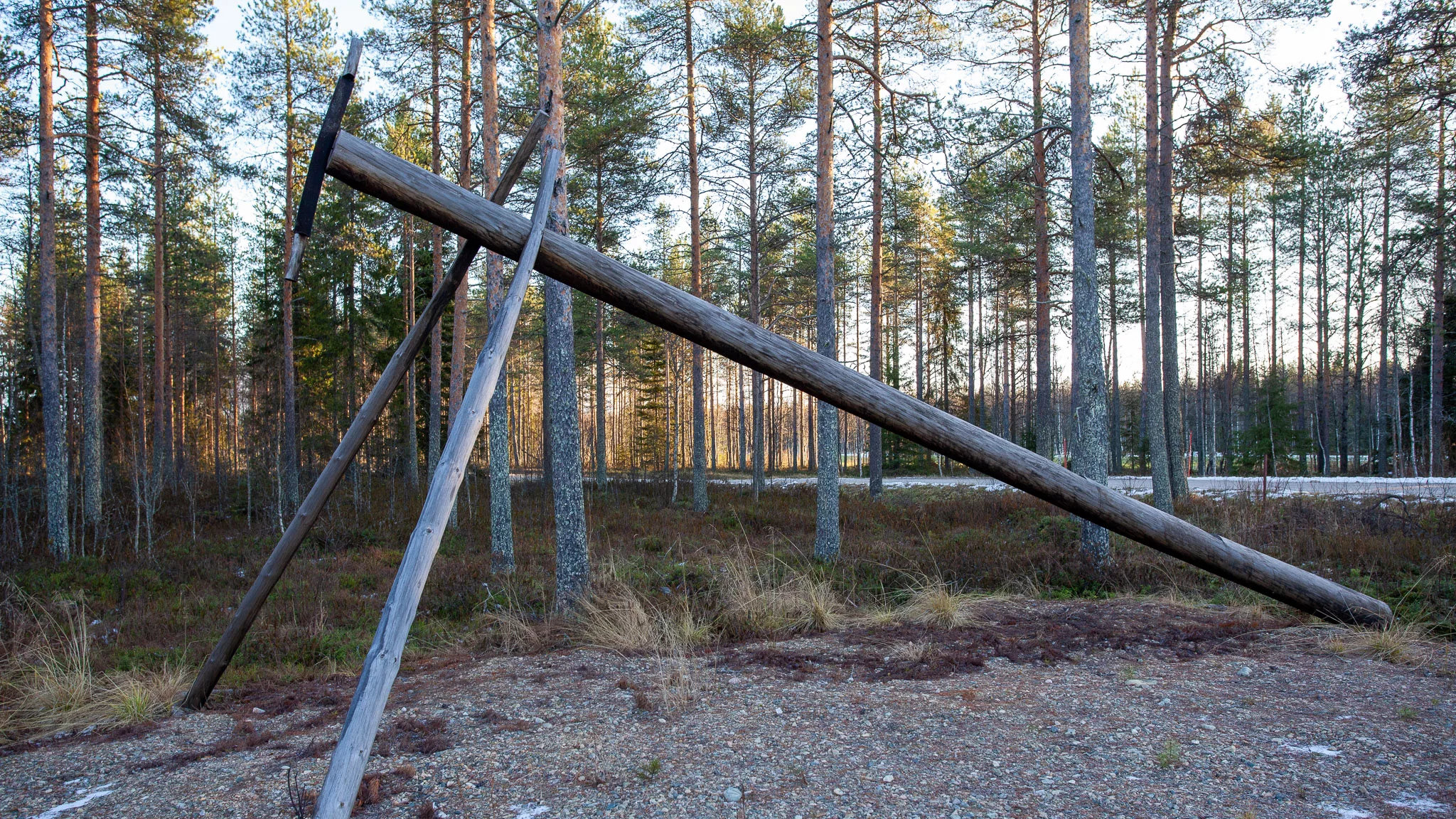 Iso parkkuupukki