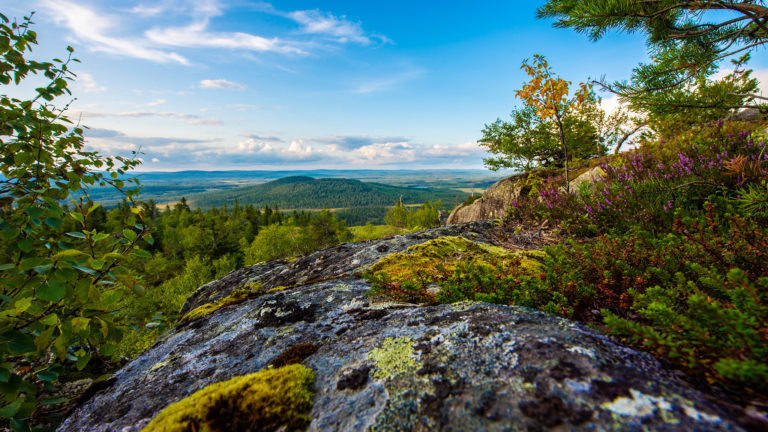 Maisema Iso-Syötteeltä