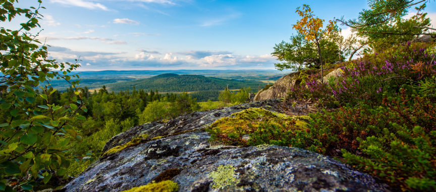 Maisema Iso-Syötteeltä