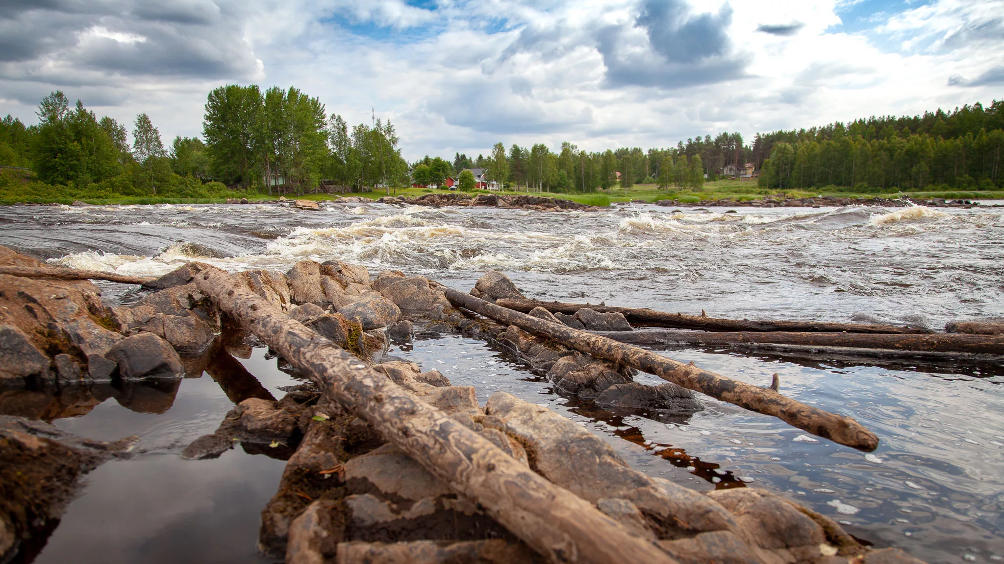Uppotukkeja kertyneenä Kipinänkosken rannalle