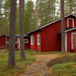 Metsämuseo