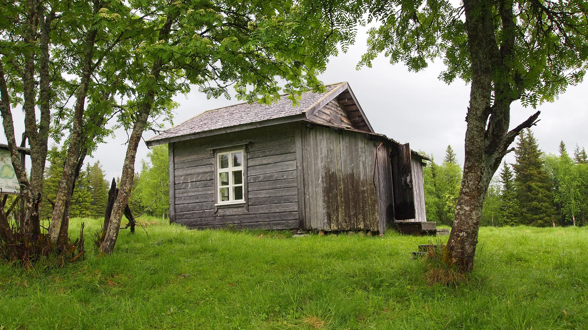 Kesäinen kruununmetsätorppa