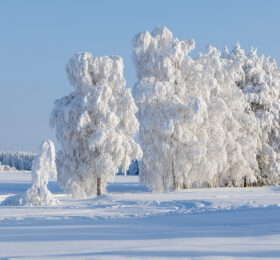 Tykkymaisema Rajamaanrannassa