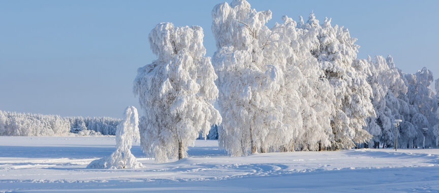 Tykkymaisema Rajamaanrannassa