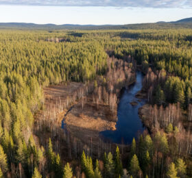 Pärjänjoen Vannekoski ilmasta