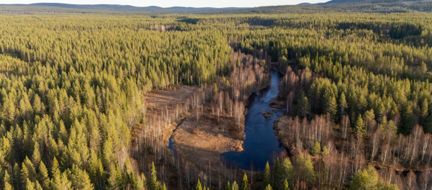 Pärjänjoen Vannekoski ilmasta