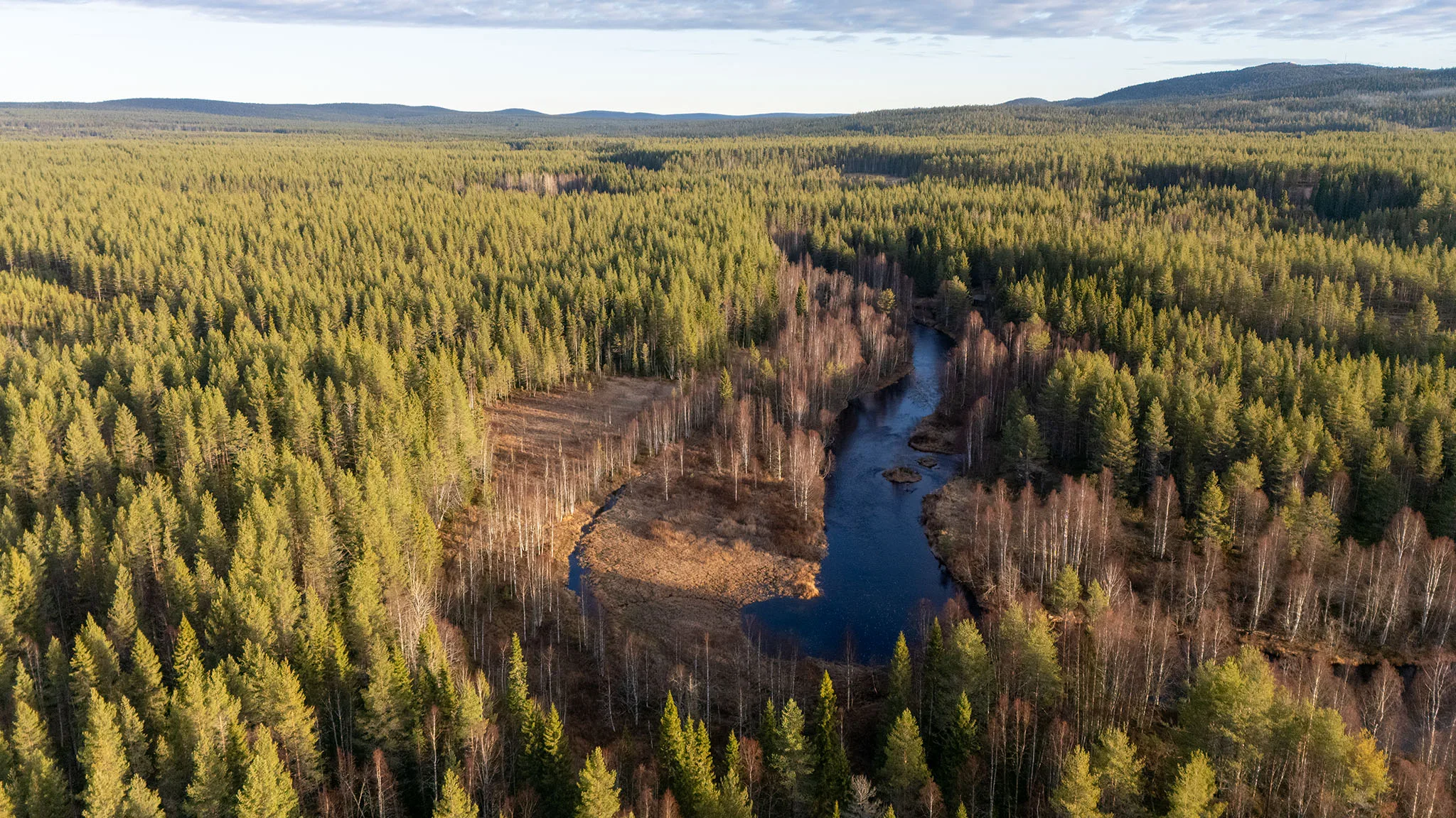 Pärjänjoen Vannekosken seutua ilmasta